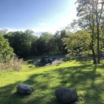 Oak Park