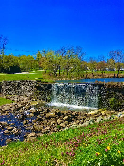 Crane Park Picture 7