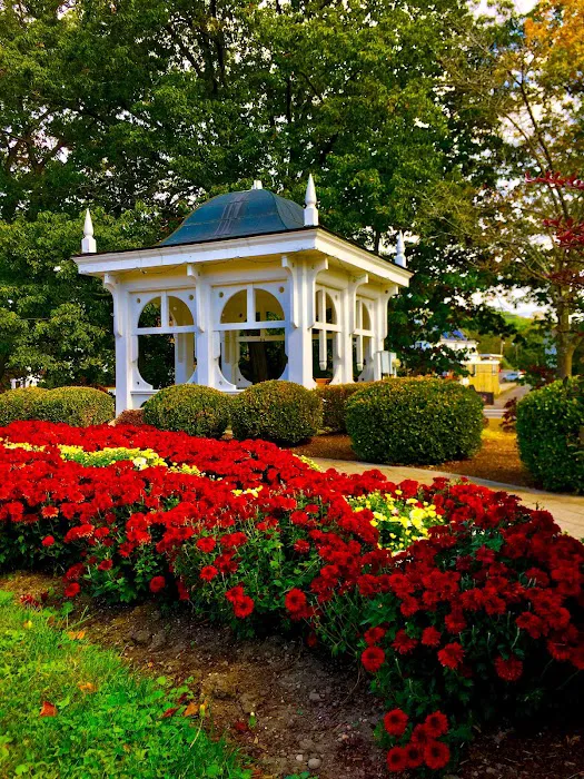 Crane Park Picture 4