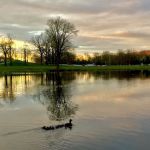 Crane Park