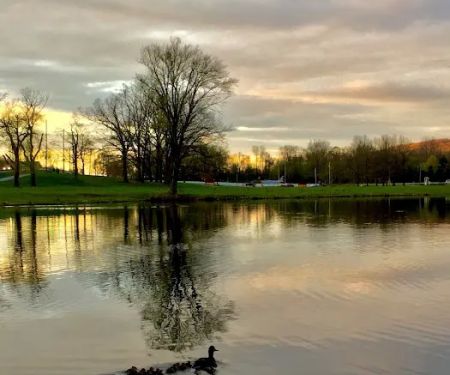Crane Park