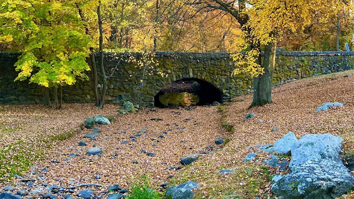Roy A. Montanye Park Picture 1