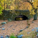 Roy A. Montanye Park