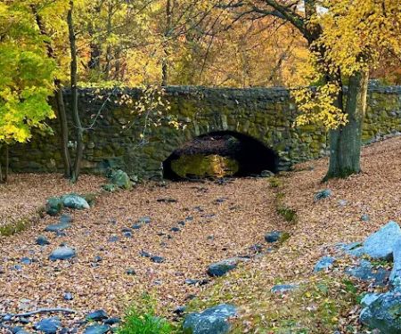 Roy A. Montanye Park