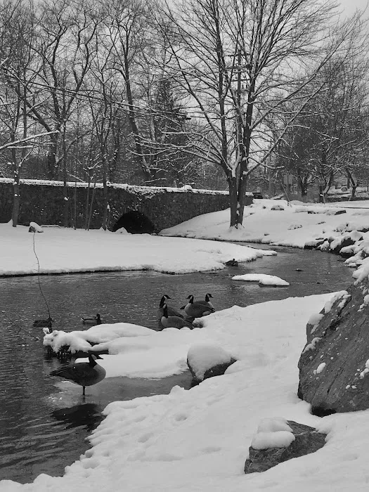 Roy A. Montanye Park Picture 5