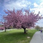Orange Heritage Rail Trail in Monroe