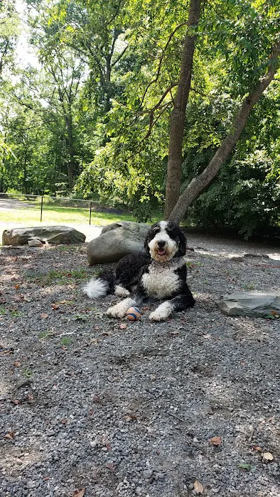 Smith Clove Dog Park Picture 1