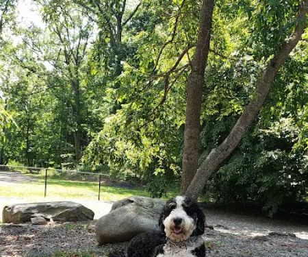 Smith Clove Dog Park
