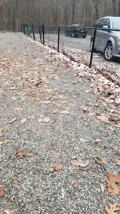 Smith Clove Dog Park Picture 3