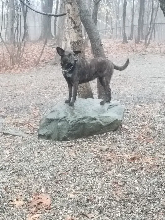 Smith Clove Dog Park Picture 10
