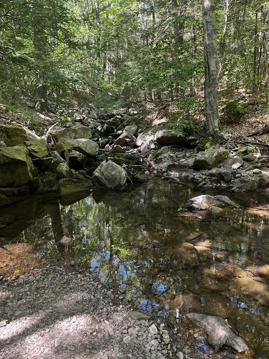 Black Rock - Mineral Springs Hiking trail Picture 10