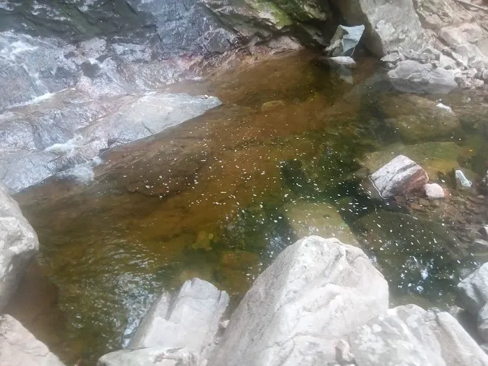 Black Rock - Mineral Springs Hiking trail Picture 5