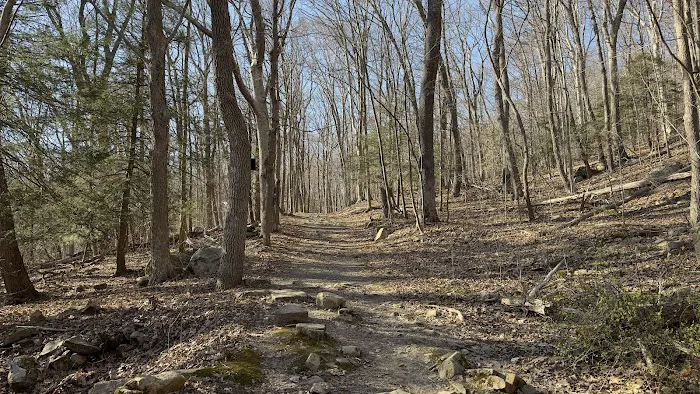 Black Rock - Mineral Springs Hiking trail Picture 8