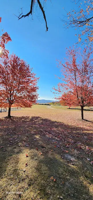 Earl Reservoir Park Private Resident Park Picture 8