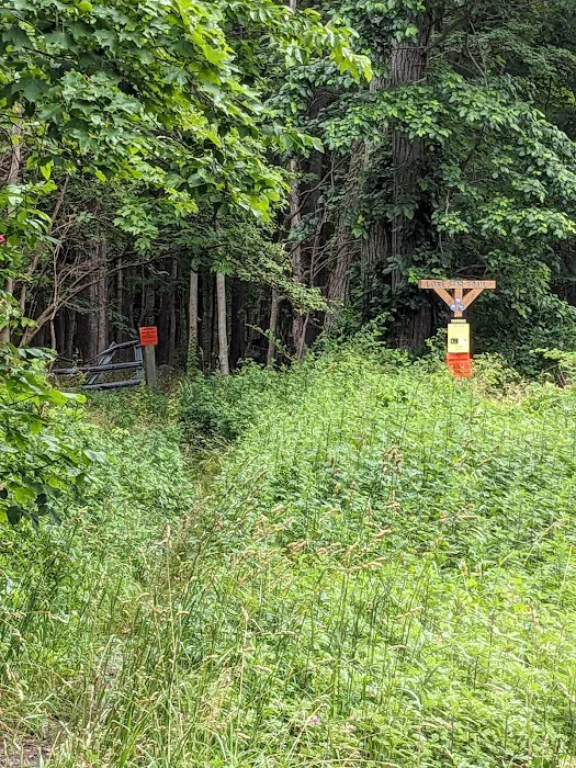 Lonestar Trailhead Picture 6