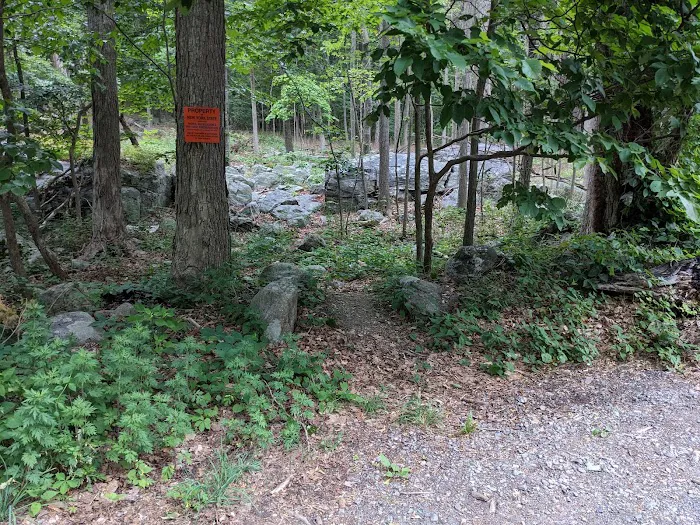 Lonestar Trailhead Picture 3