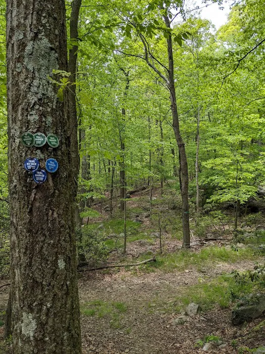 Blue Trailhead and Green Trail Intersection Picture 2
