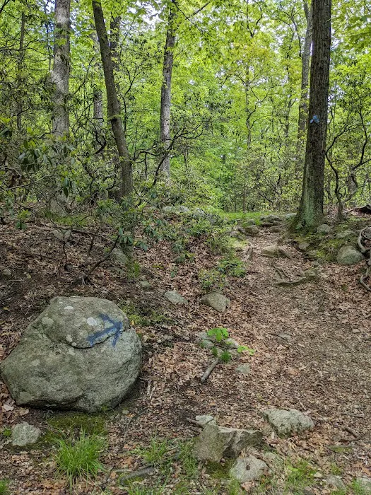 Blue Trailhead and Green Trail Intersection Picture 3