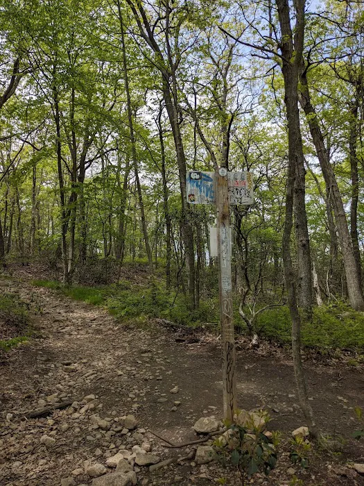 Green Trailhead and Washburn Trail Intersection Picture 3