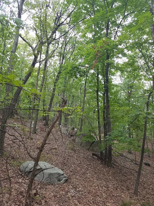 Cold Spring Tiny Tots Park Picture 7