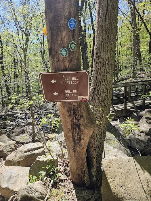 Little Stony Point Picture 10