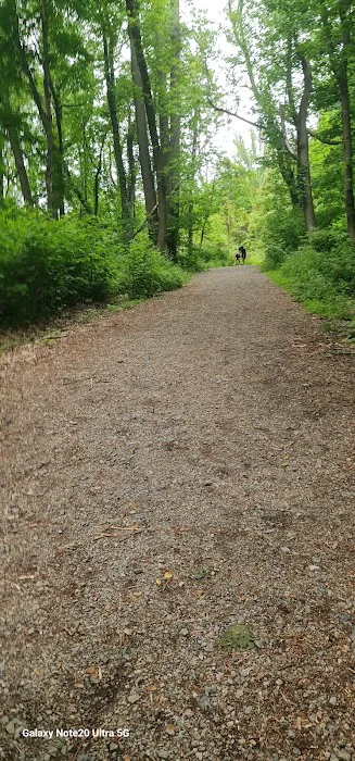 Washburn Trail Picture 10