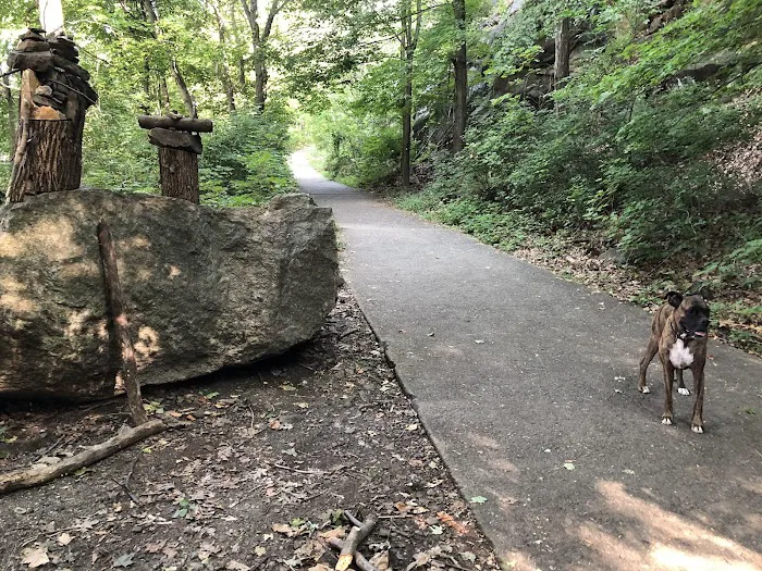 Washburn Trail Picture 2