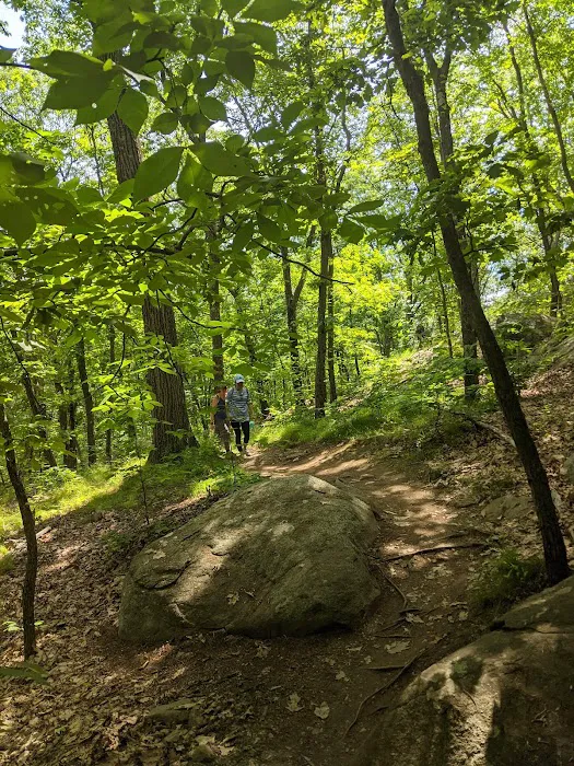 Washburn Trail Picture 8