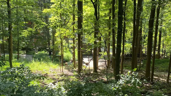 Washburn Trail Picture 5