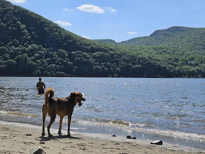 Little Stony Point Beach Picture 3