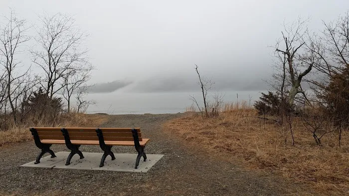 Little Stony Point Beach Picture 8