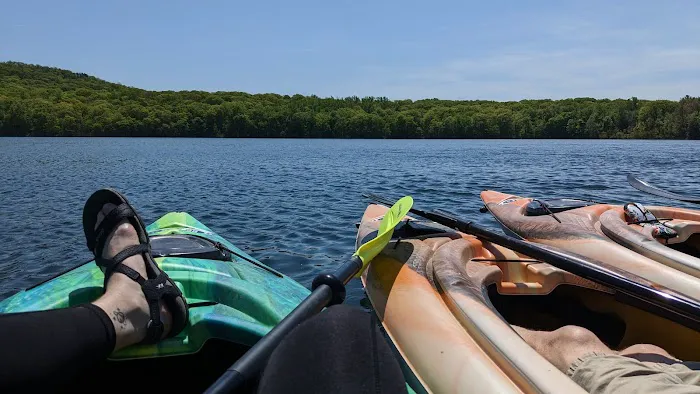 White Pond Multiple Use Area Picture 3