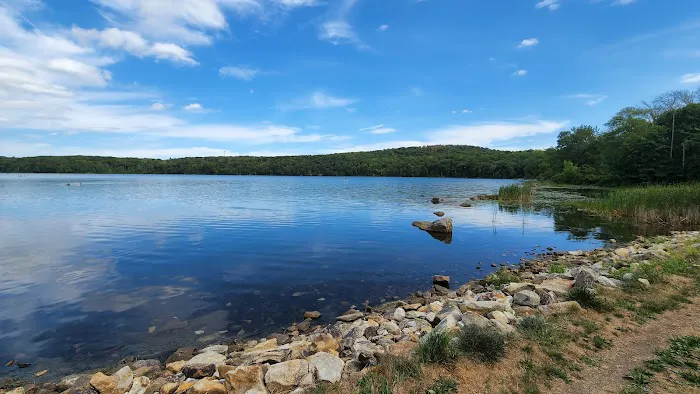 White Pond Multiple Use Area Picture 5