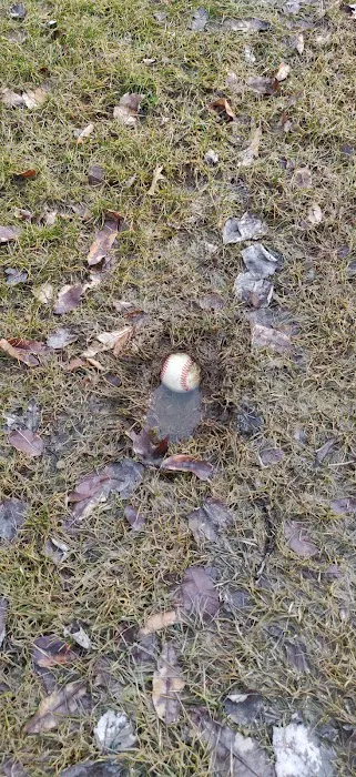 Lee Town Recreation Park Picture 9