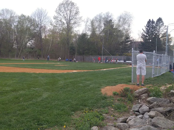 Lee Town Recreation Park Picture 6