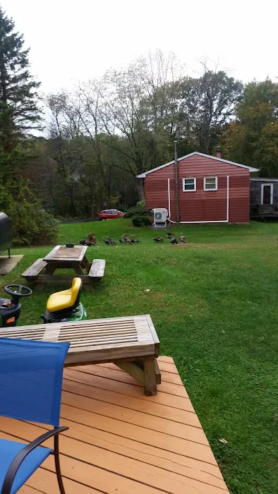 Lee Town Recreation Park Picture 8