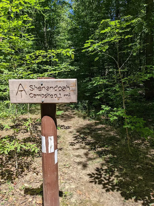 Trailhead, Shenandoah campground trail Picture 1