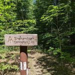 Trailhead, Shenandoah campground trail