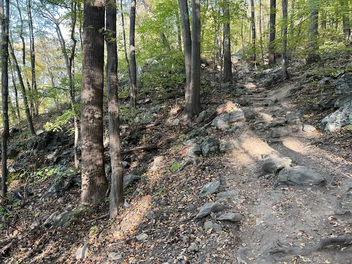 Appalachian Trail Picture 10