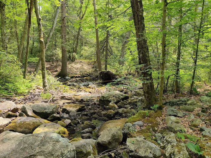 Appalachian Trail Picture 2