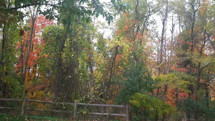 Appalachian Trail Picture 1