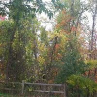 Appalachian Trail ico