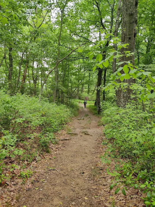 Appalachian Trail Picture 8