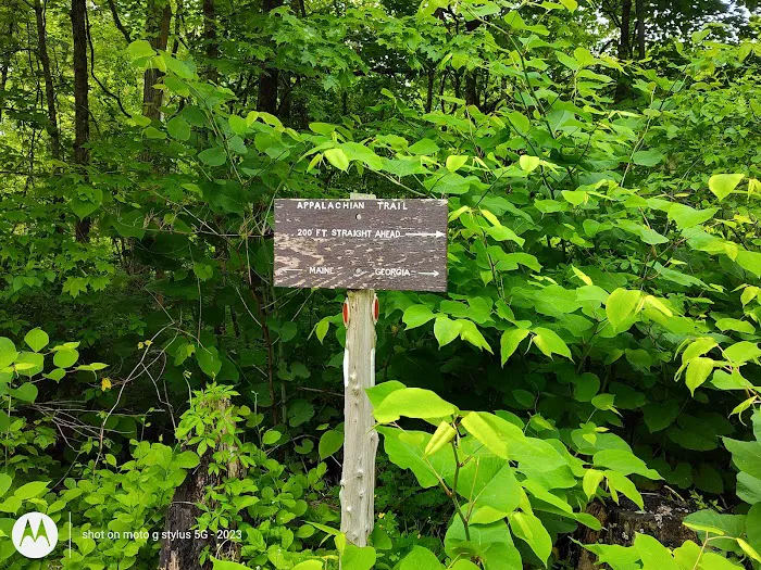 Appalachian Trail Picture 5
