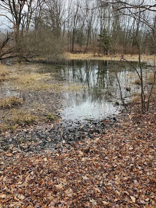 Randall's Farm Nature Preserve Picture 4
