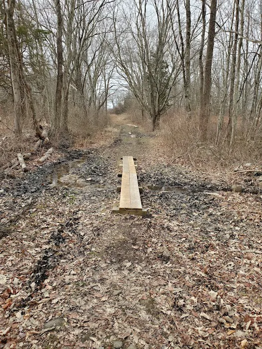 Randall's Farm Nature Preserve Picture 7