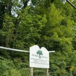 Mike's Pond