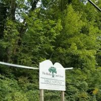 Mike's Pond ico
