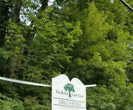 Mike's Pond