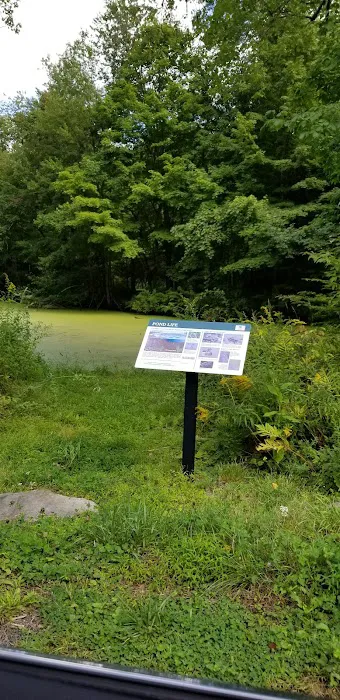 Mike's Pond Picture 3